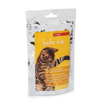 Bolo via chews