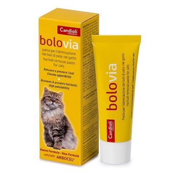 Bolo via palatable πάστα
